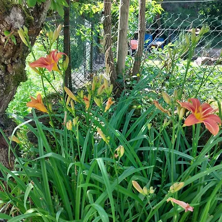 Moulin De Serre Cassagnes-Bégonhès