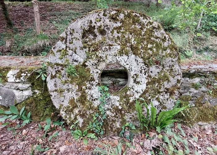 Moulin De Serre Casa vacanze Cassagnes-Bégonhès