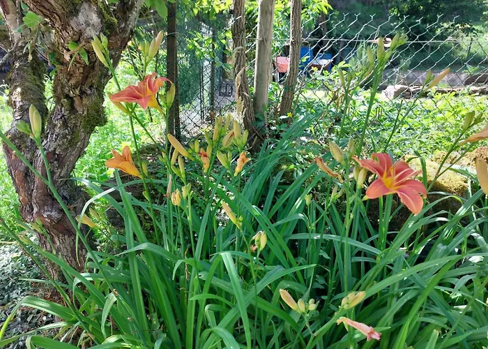 Moulin De Serre Cassagnes-Bégonhès